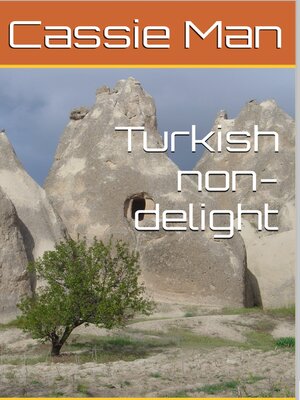 cover image of Turkish Non-delight